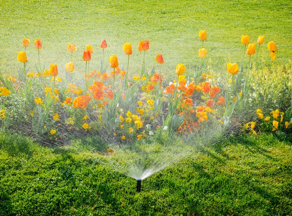 irrigation systems and sprinklers installation service experts