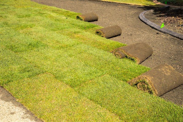 sod and hydro seed installation services spokane