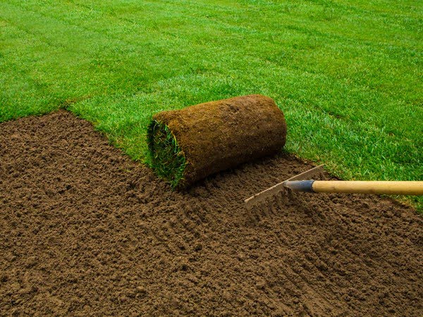sod and hydro seed installation expert spokane