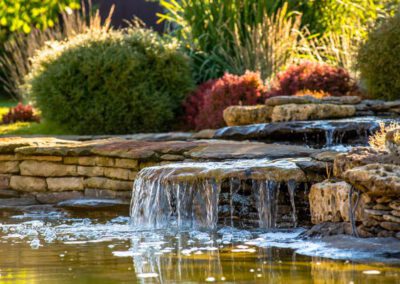 landscape lighting in a water feature